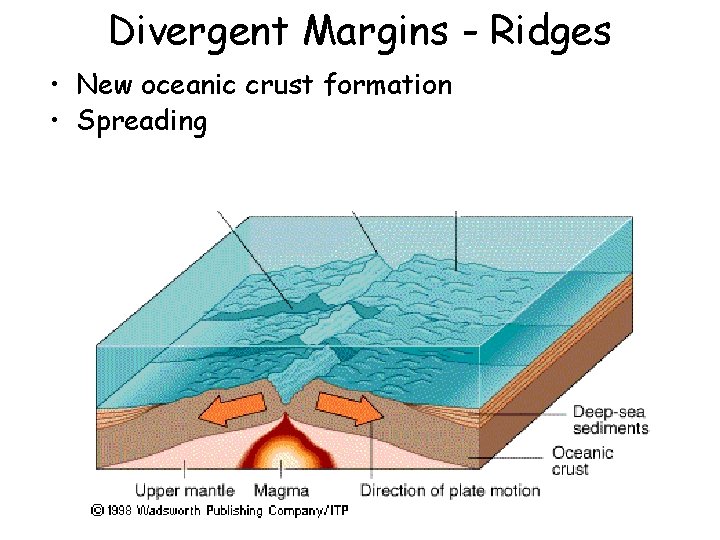 Divergent Margins - Ridges • New oceanic crust formation • Spreading 