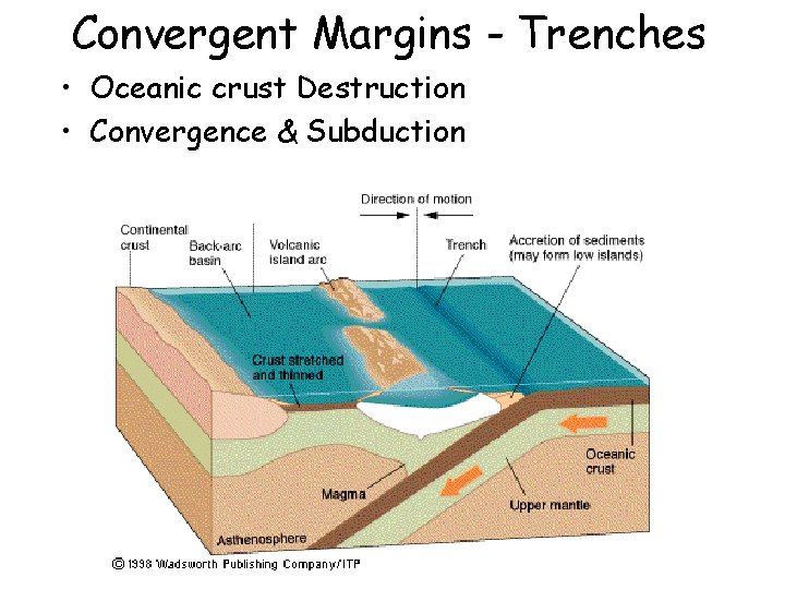Convergent Margins - Trenches • Oceanic crust Destruction • Convergence & Subduction 