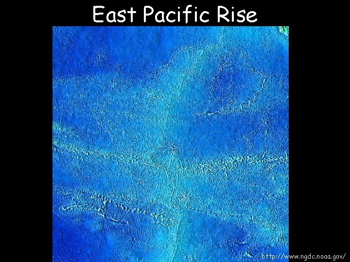 East Pacific Rise http: //www. ngdc. noaa. gov/ 