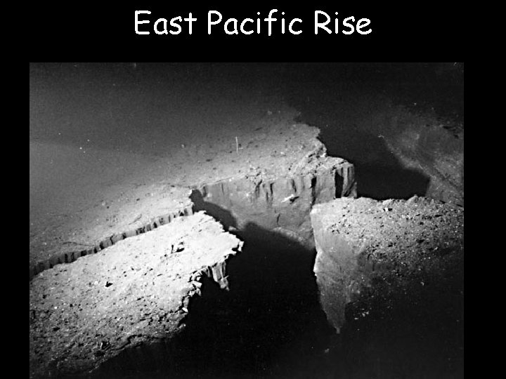 East Pacific Rise 