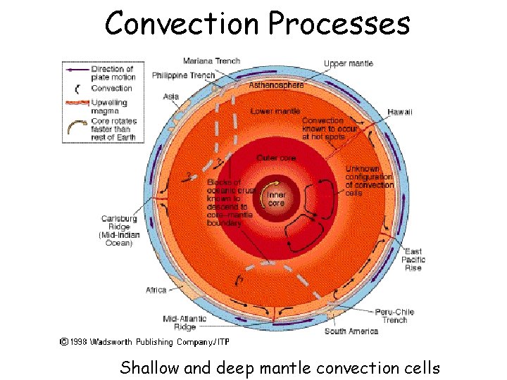 Convection Processes Shallow and deep mantle convection cells 