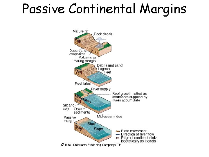 Passive Continental Margins 