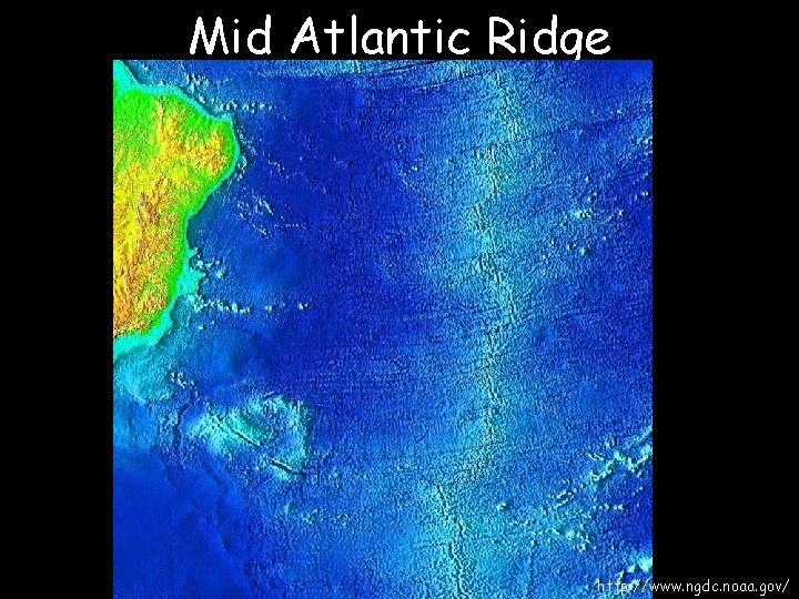 Mid Atlantic Ridge http: //www. ngdc. noaa. gov/ 