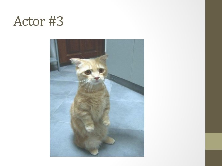 Actor #3 