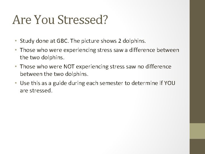 Are You Stressed? • Study done at GBC. The picture shows 2 dolphins. •