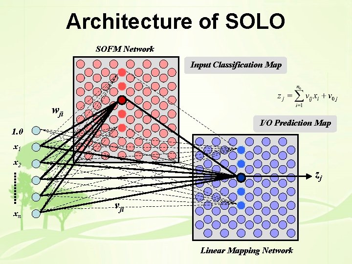 Architecture of SOLO SOFM Network Input Classification Map wji I/O Prediction Map 1. 0