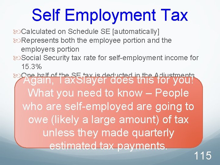 Self Employment Tax Calculated on Schedule SE [automatically] Represents both the employee portion and