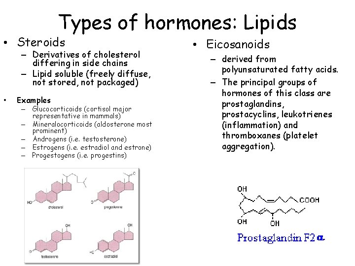 Types of hormones: Lipids • Steroids – Derivatives of cholesterol differing in side chains
