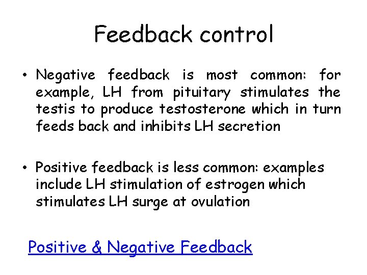 Feedback control • Negative feedback is most common: for example, LH from pituitary stimulates