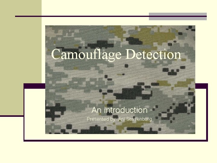 Camouflage Detection An introduction Presented by: Ani Starrenburg 