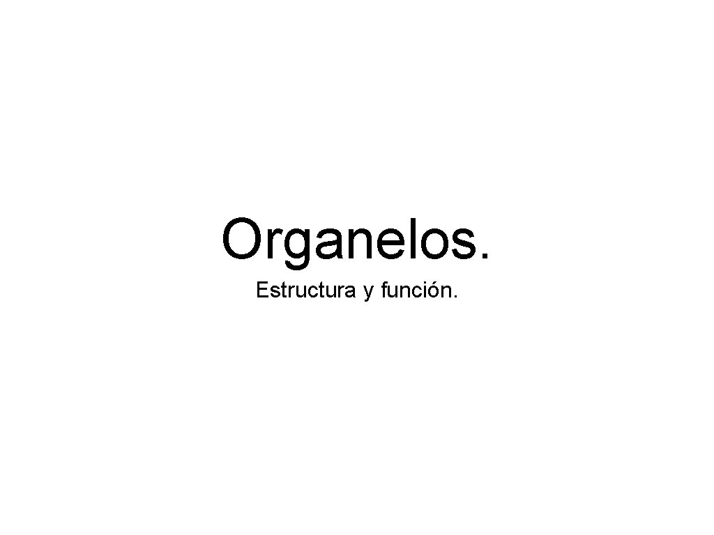 Organelos. Estructura y función. 