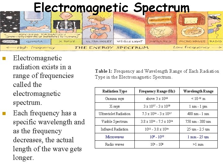 Electromagnetic Spectrum n n Electromagnetic radiation exists in a range of frequencies called the