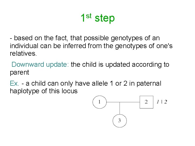 st 1 step - based on the fact, that possible genotypes of an individual