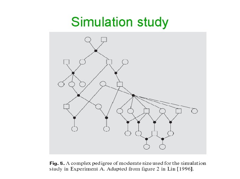 Simulation study 