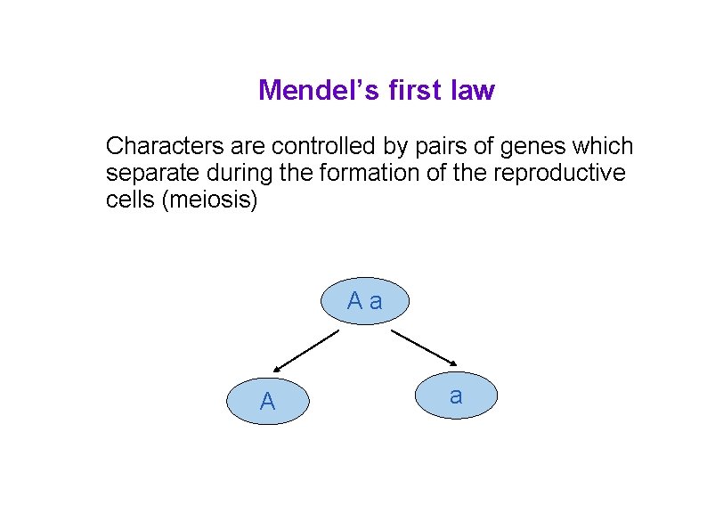 Mendel’s first law Characters are controlled by pairs of genes which separate during the