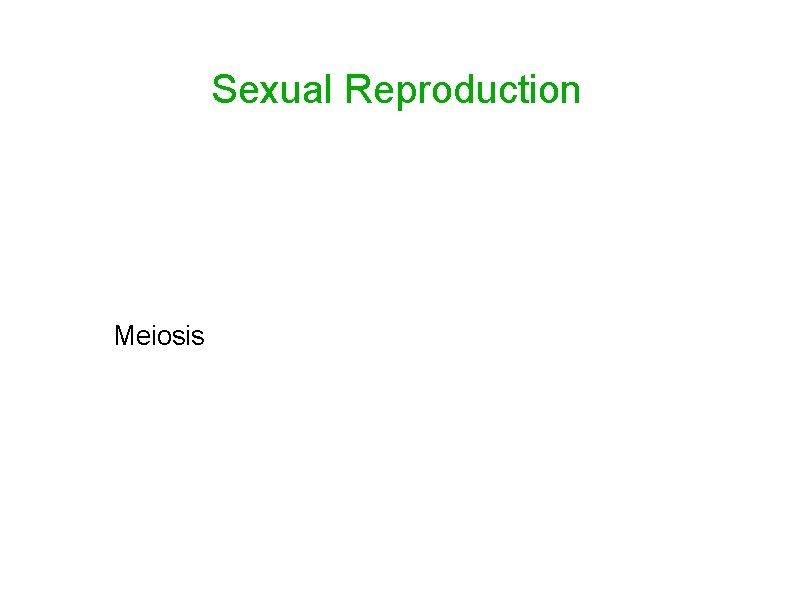 Sexual Reproduction Meiosis 