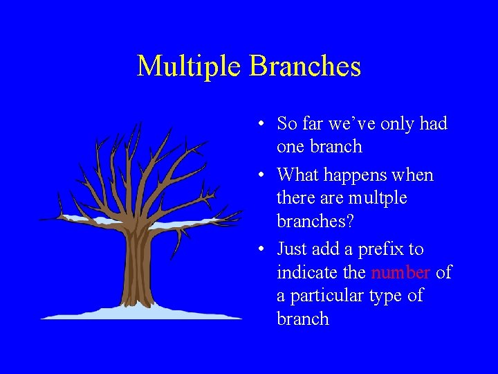 Multiple Branches • So far we’ve only had one branch • What happens when