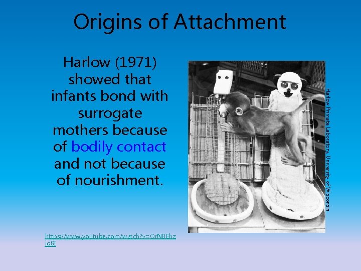 Origins of Attachment https: //www. youtube. com/watch? v=Or. NBEhz jg 8 I Harlow Primate