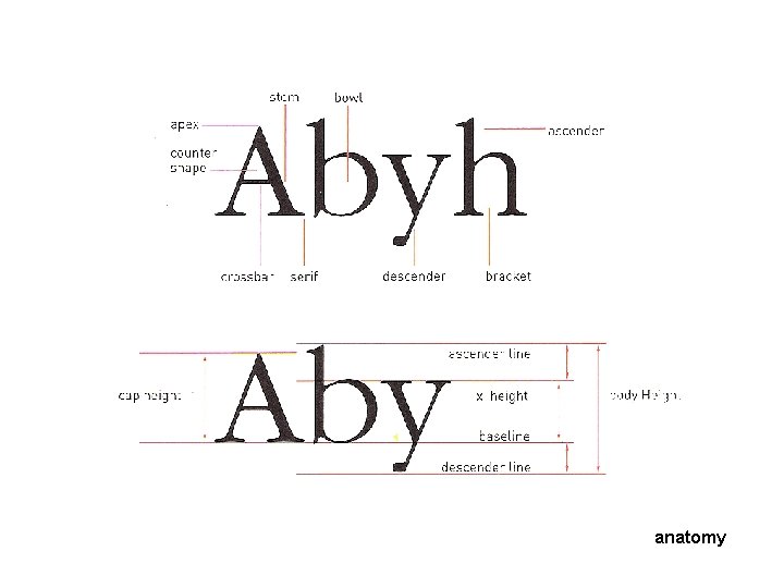 Letter anatomy Letter anatomy