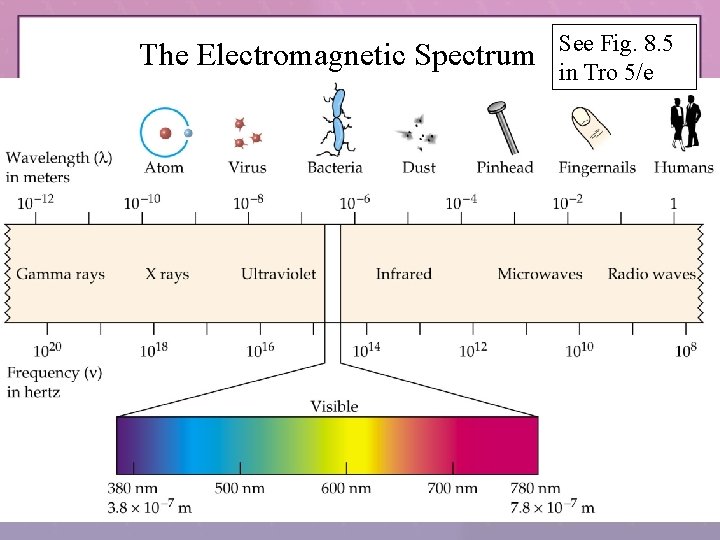 The Electromagnetic Spectrum See Fig. 8. 5 in Tro 5/e The Electromagnetic Spectrum See Fig. 8. 5 in Tro 5/e