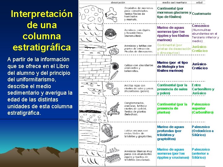 Interpretación de una columna estratigráfica A partir de la información que se ofrece en Interpretación de una columna estratigráfica A partir de la información que se ofrece en