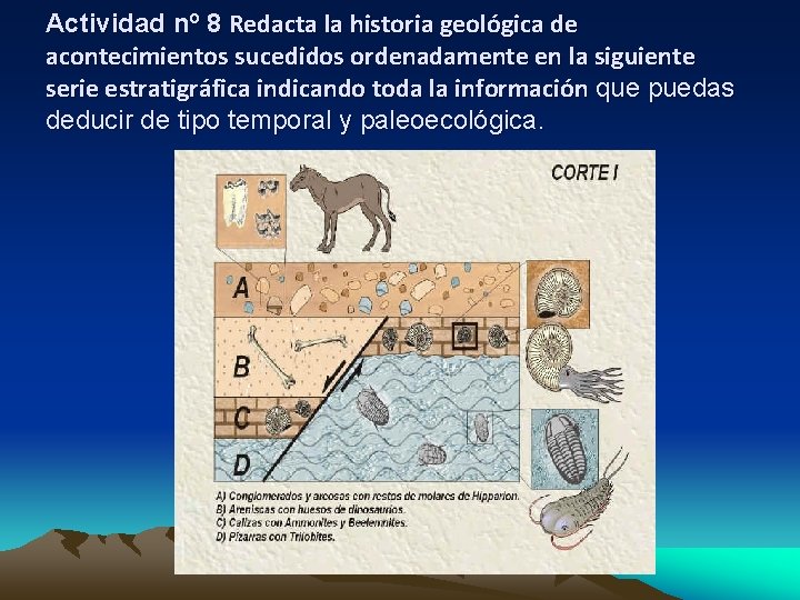 Actividad nº 8 Redacta la historia geológica de acontecimientos sucedidos ordenadamente en la siguiente Actividad nº 8 Redacta la historia geológica de acontecimientos sucedidos ordenadamente en la siguiente
