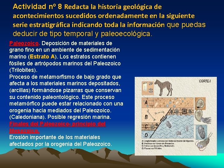 Actividad nº 8 Redacta la historia geológica de acontecimientos sucedidos ordenadamente en la siguiente Actividad nº 8 Redacta la historia geológica de acontecimientos sucedidos ordenadamente en la siguiente