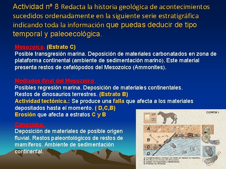 Actividad nº 8 Redacta la historia geológica de acontecimientos sucedidos ordenadamente en la siguiente Actividad nº 8 Redacta la historia geológica de acontecimientos sucedidos ordenadamente en la siguiente
