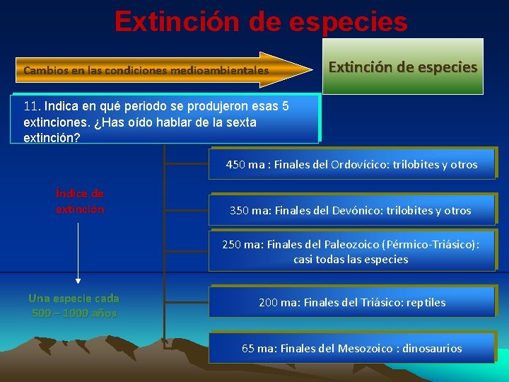 Extinción de especies Cambios en las condiciones medioambientales Extinción de especies 11. Indica en Extinción de especies Cambios en las condiciones medioambientales Extinción de especies 11. Indica en