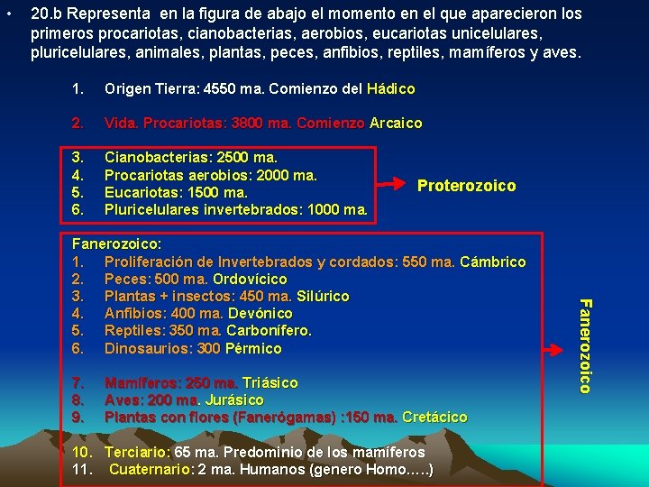 • 20. b Representa en la figura de abajo el momento en el • 20. b Representa en la figura de abajo el momento en el