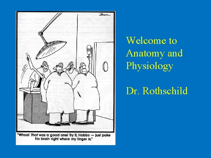 Welcome to Anatomy and Physiology Dr. Rothschild 