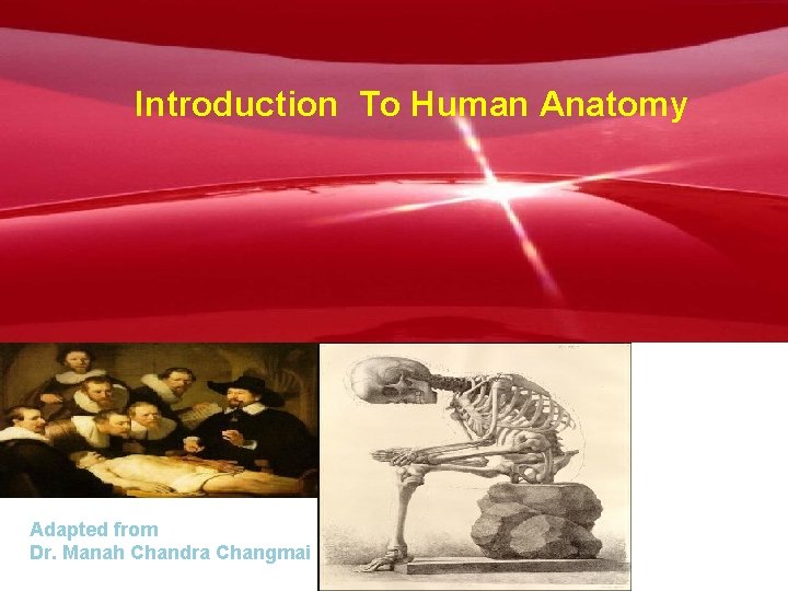 Introduction To Human Anatomy Adapted from Dr. Manah Chandra Changmai 