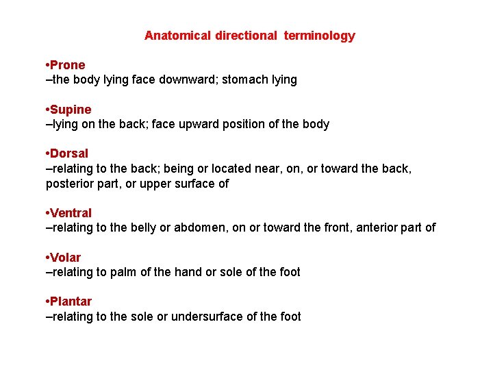 Anatomical directional terminology • Prone –the body lying face downward; stomach lying • Supine