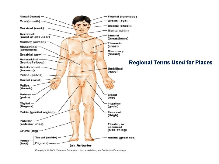 Regional Terms Used for Places 