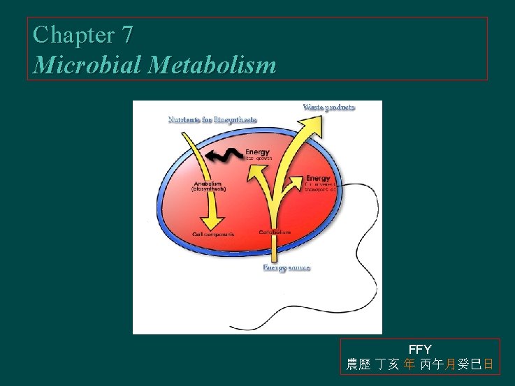 Chapter 7 Microbial Metabolism FFY 農歷 丁亥 年 丙午月癸巳日 