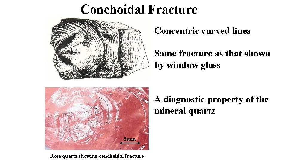 Conchoidal Fracture Concentric curved lines Same fracture as that shown by window glass A