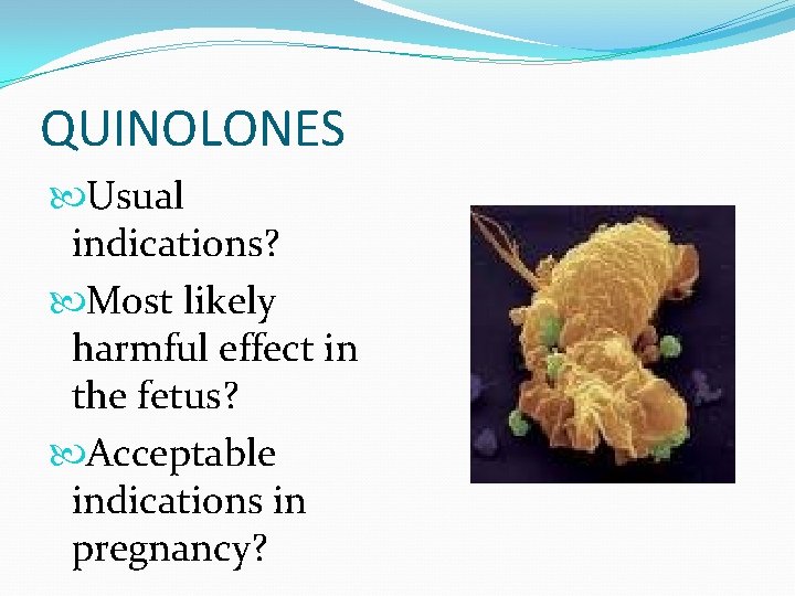 EXPOSURES TO AVOID IN PREGNANCY PATRICK DUFF M