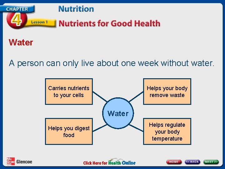 Water A person can only live about one week without water. Carries nutrients to
