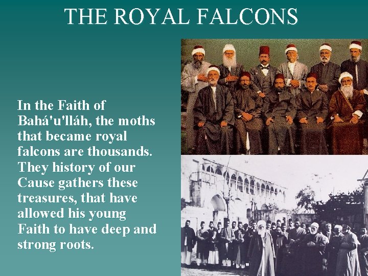 THE ROYAL FALCONS In the Faith of Bahá'u'lláh, the moths that became royal falcons