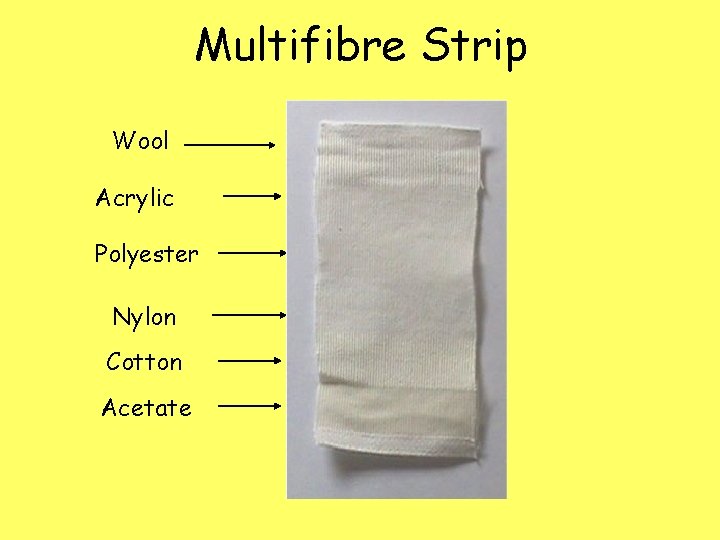 Multifibre Strip Wool Acrylic Polyester Nylon Cotton Acetate 