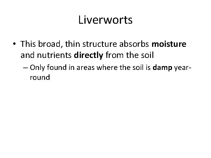 Liverworts • This broad, thin structure absorbs moisture and nutrients directly from the soil