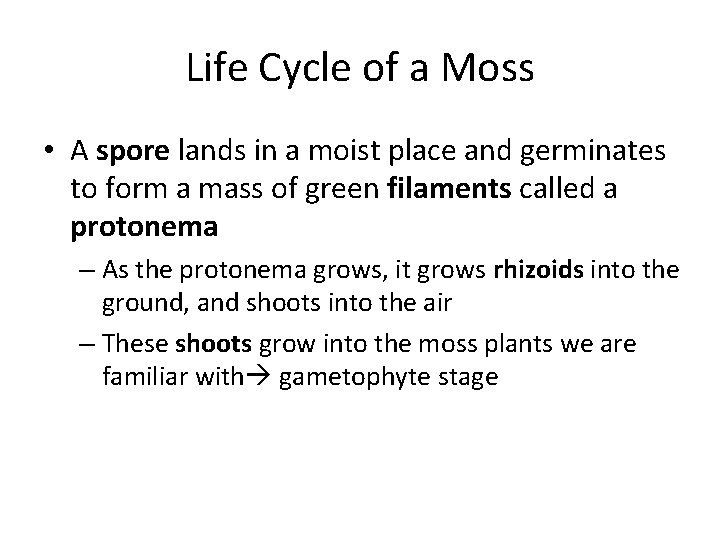 Life Cycle of a Moss • A spore lands in a moist place and