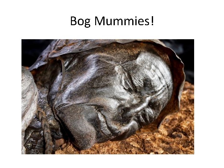 Bog Mummies! 