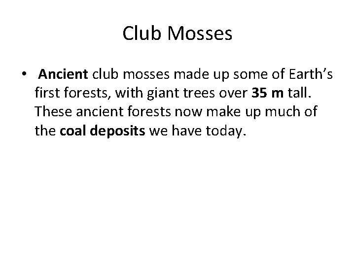 Club Mosses • Ancient club mosses made up some of Earth’s first forests, with