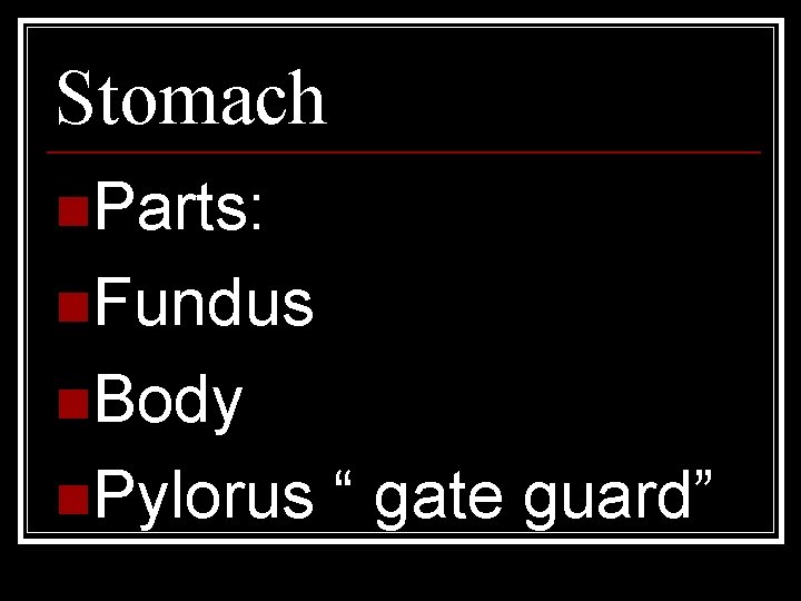 Stomach n. Parts: n. Fundus n. Body n. Pylorus “ gate guard” 