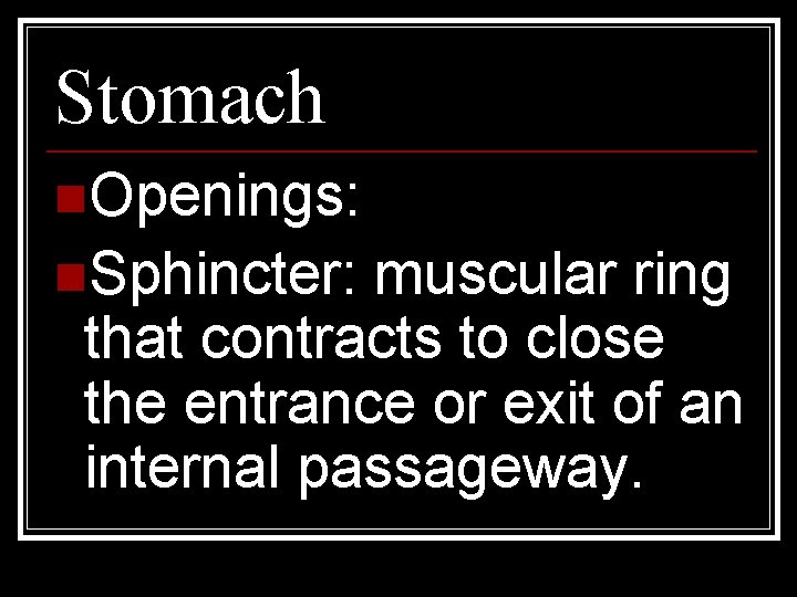 Stomach n. Openings: n. Sphincter: muscular ring that contracts to close the entrance or