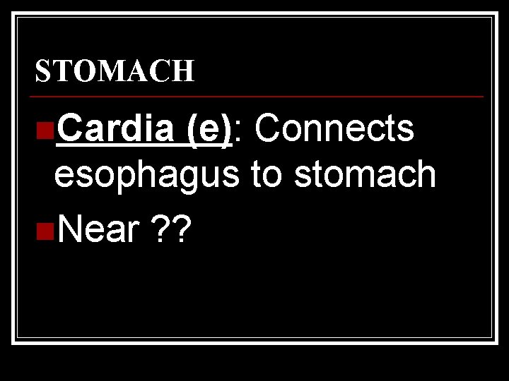 STOMACH n. Cardia (e): Connects esophagus to stomach n. Near ? ? 