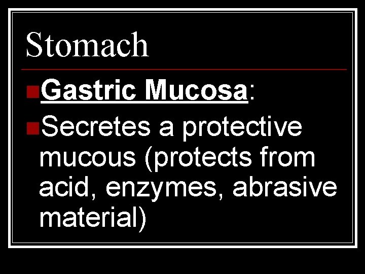 Stomach n. Gastric Mucosa: n. Secretes a protective mucous (protects from acid, enzymes, abrasive