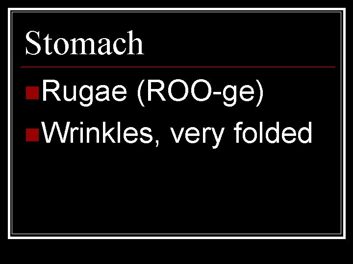 Stomach n. Rugae (ROO-ge) n. Wrinkles, very folded 