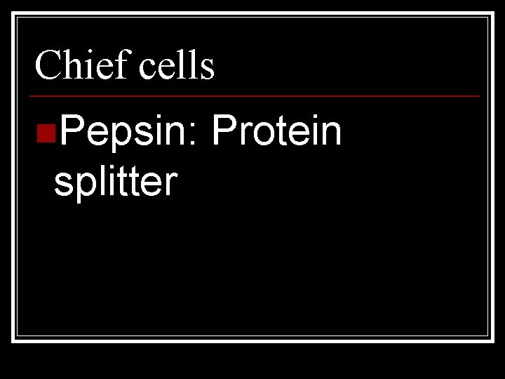 Chief cells n. Pepsin: splitter Protein 